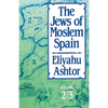 The Jews of Moslem Spain: Volume 2/3 - Paperback