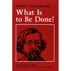 What Is to Be Done? - Paperback