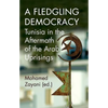 A Fledgling Democracy: Tunisia in the Aftermath of the Arab Uprisings - Paperback