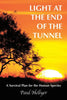 Light at the End of the Tunnel: A Survival Plan for the Human Species - Paperback