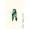 Cicada - Paperback