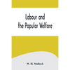 Labour and the Popular Welfare - Paperback