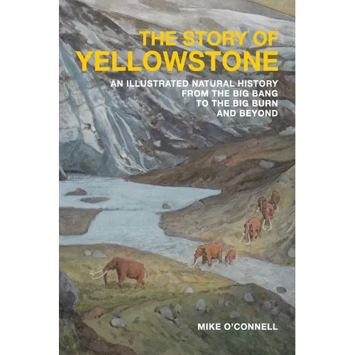 The Story of Yellowstone: An Illustrated Natural History from the Big Bang to the Big Burn and Beyond - Paperback