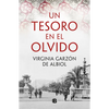 Un Tesoro En El Olvido / Forgotten Treasure - Paperback