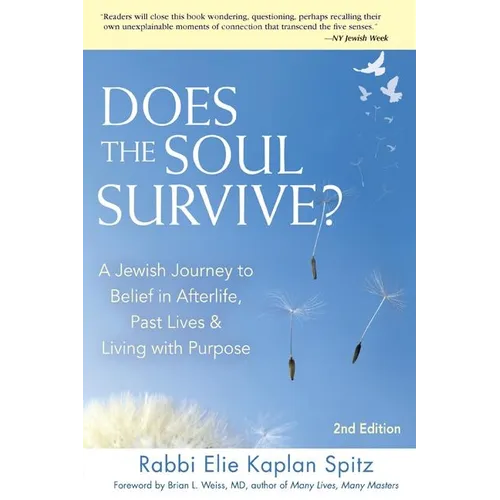 Does the Soul Survive? (2nd Edition): A Jewish Journey to Belief in Afterlife, Past Lives & Living with Purpose - Paperback