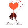 Lost in Love!: Funny valentine gift password keeper for couples lovers friends families girlfriends boyfriends and besties - perfect - Paperback