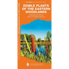 Edible Plants of the Eastern Woodlands: A Folding Pocket Guide to Familiar Species - Paperback