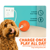 DOG’S INTERACTIVE BALL