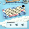 XVX Rainbow Candy MOA Profile Dye-Sub 143-Key PBT Keycap Set