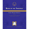 Book of the Timespace: Cosmic History Chronicles Volume V - Time and Society: Envisioning the New Earth, The Relative Aspiring to the Absolute - Paperback