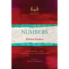 Numbers: A Pastoral and Contextual Commentary - Paperback