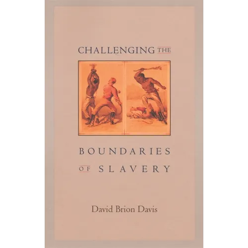 Challenging the Boundaries of Slavery - Paperback