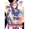 The Demon Sword Master of Excalibur Academy, Vol. 1 (Light Novel): Volume 1 - Paperback