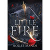 Little Fire - Hardcover