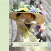 Ducks on Parade! - Hardcover