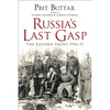 Russia's Last Gasp: The Eastern Front 1916-17 - Paperback