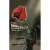 The Beautiful - Paperback