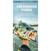 Freshwater Fishes: An Introduction to Familiar North American Species