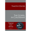 The Gospel in Colossians - Paperback