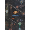 An Arm Fixed to a Wing: Poems - Paperback