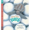 One Tiny Turtle: Read and Wonder - Paperback