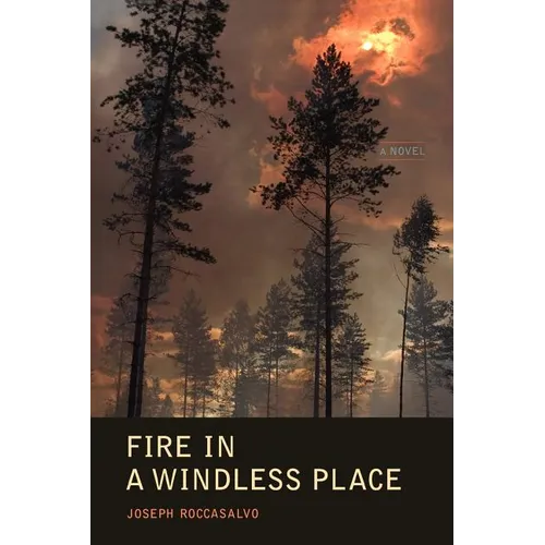 Fire in a Windless Place - Paperback