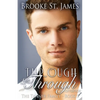 Through & Through: A Romance - Paperback