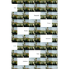 One Thousand Things Worth Knowing - Paperback