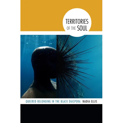 Territories of the Soul: Queered Belonging in the Black Diaspora - Paperback