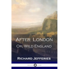 After London: Or, Wild England - A Victorian Classic of Post-Apocalyptic Science Fiction - Paperback