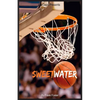 Sweetwater: A Biography of Nathaniel "Sweetwater" Clifton - Paperback