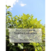Fig Culture in North Carolina - Paperback