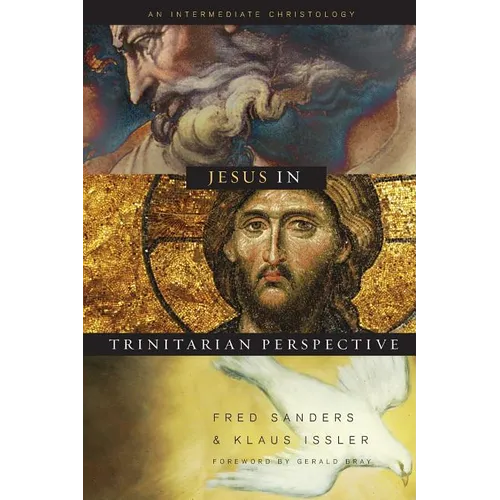 Jesus in Trinitarian Perspective: An Introductory Christology - Paperback