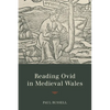 Reading Ovid in Medieval Wales - Paperback