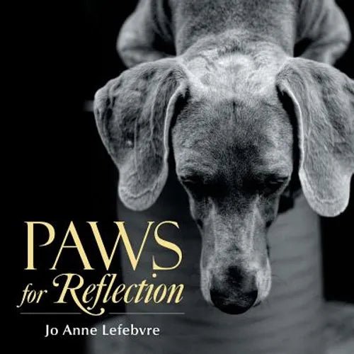 Paws for Reflection - Paperback