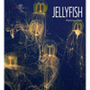 Jellyfish - Paperback