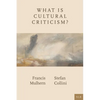 What Is Cultural Criticism? - Paperback