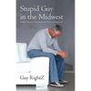Stupid Guy in the Midwest: Helpful Hints for Non-Custodial Dads and Stepmoms - Paperback
