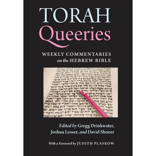Torah Queeries: Weekly Commentaries on the Hebrew Bible - Paperback