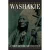 Washakie, Chief of the Shoshones - Paperback