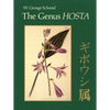 The Genus Hosta - Paperback