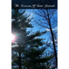 The Exercises Of Saint Gertrude: Virgin And Abbess Of The Order Of St. Benedict - Paperback