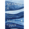 Meaning a Life: An Autobiography - Paperback