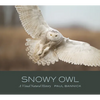 Snowy Owl: A Visual Natural History - Hardcover