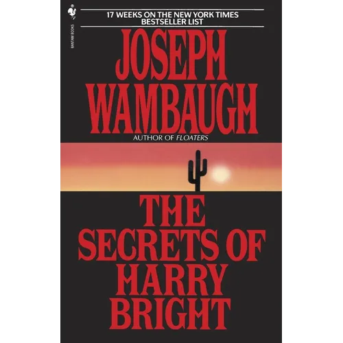 The Secrets of Harry Bright - Paperback
