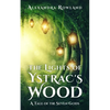 The Lights of Ystrac's Wood - Paperback