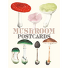 Mushroom Postcards - Paperback