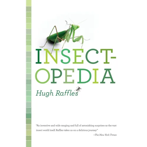 Insectopedia - Paperback