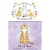 Meet Rue - Paperback