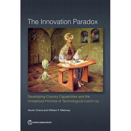 Innovation Paradox: Developing-Country Capabilities and the Unrealized Promise of Technological Catch-Up - Paperback